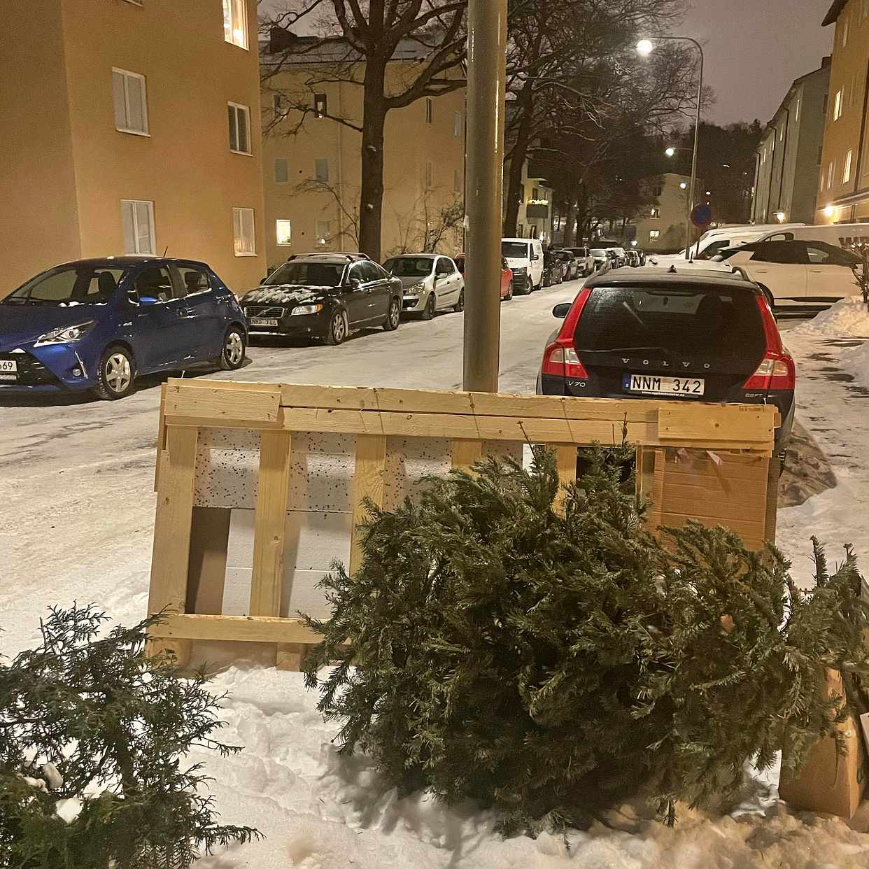 image of Julgran, fraktemballage m - Bromma
