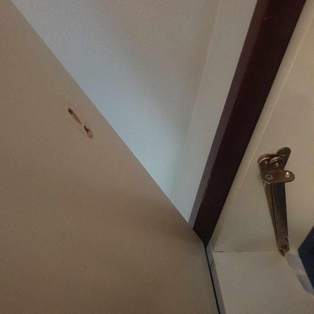 image of Två hyllor i mörkt trä. - Stockholm
