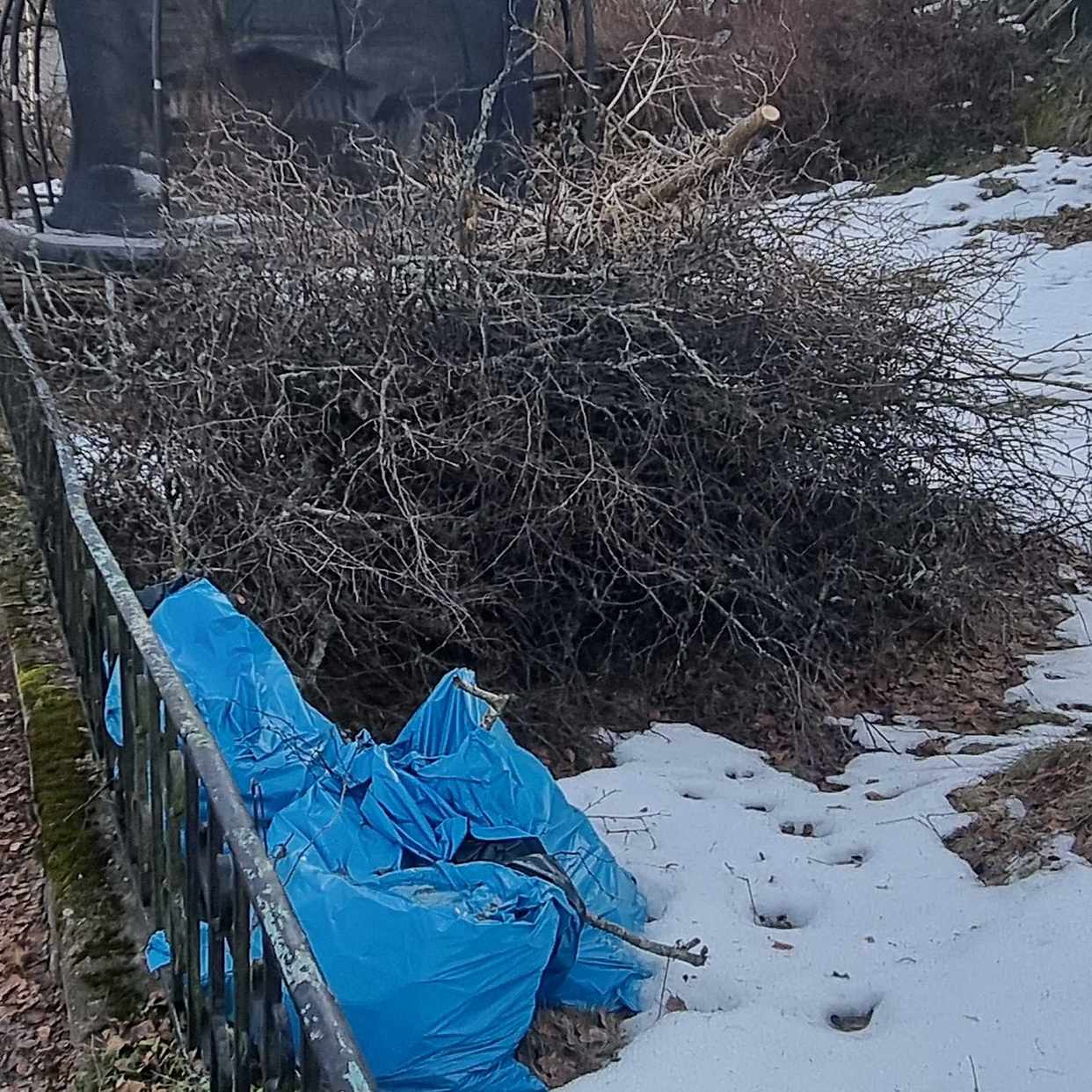 image of Trädgårdsavfall . Grenar - Enskede