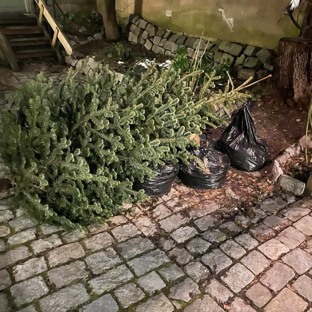image of Gran + säckar med löv - Stockholm