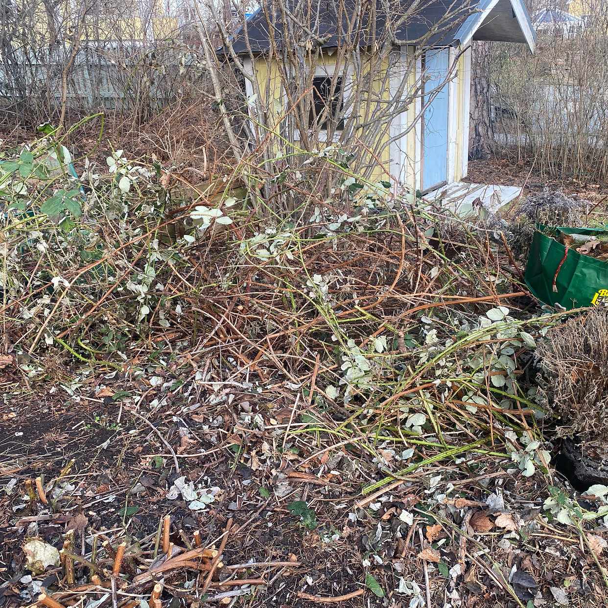 image of Renovation of Garden wast - Bromma