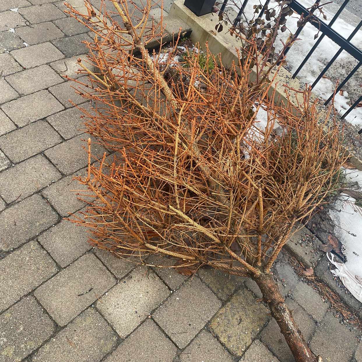 image of Blandad återvinning - Älta