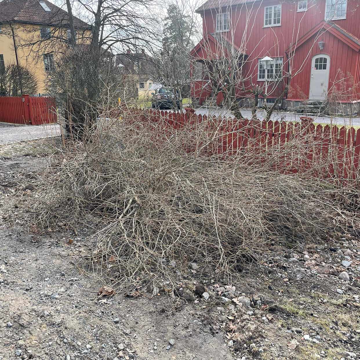 image of Grenar - Djursholm