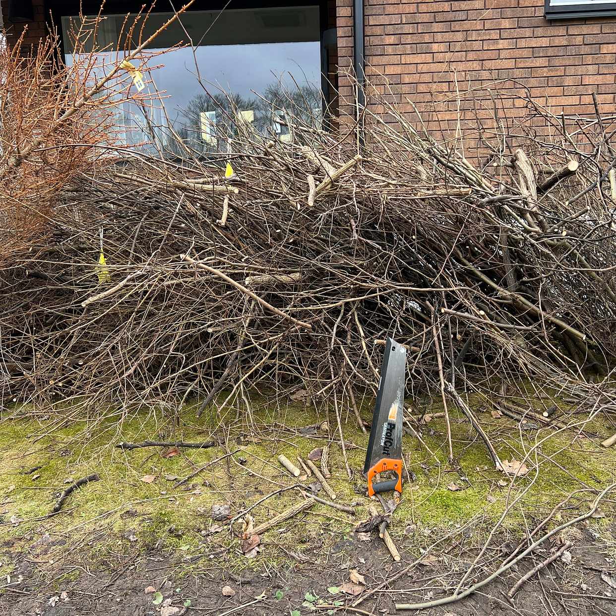 image of Två stora högar med ris - Lidingö