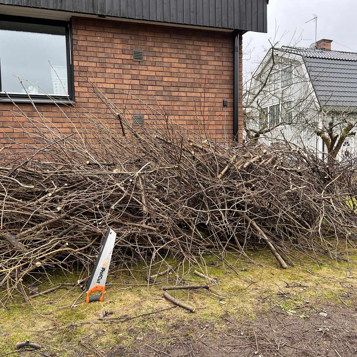 image of Två stora högar med ris - Lidingö