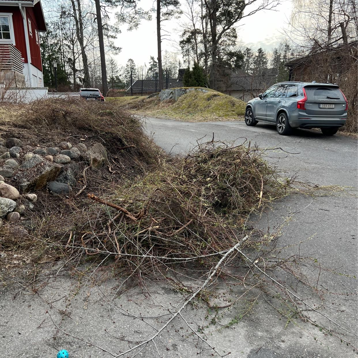 image of Nerklippt buske och gren - Boo
