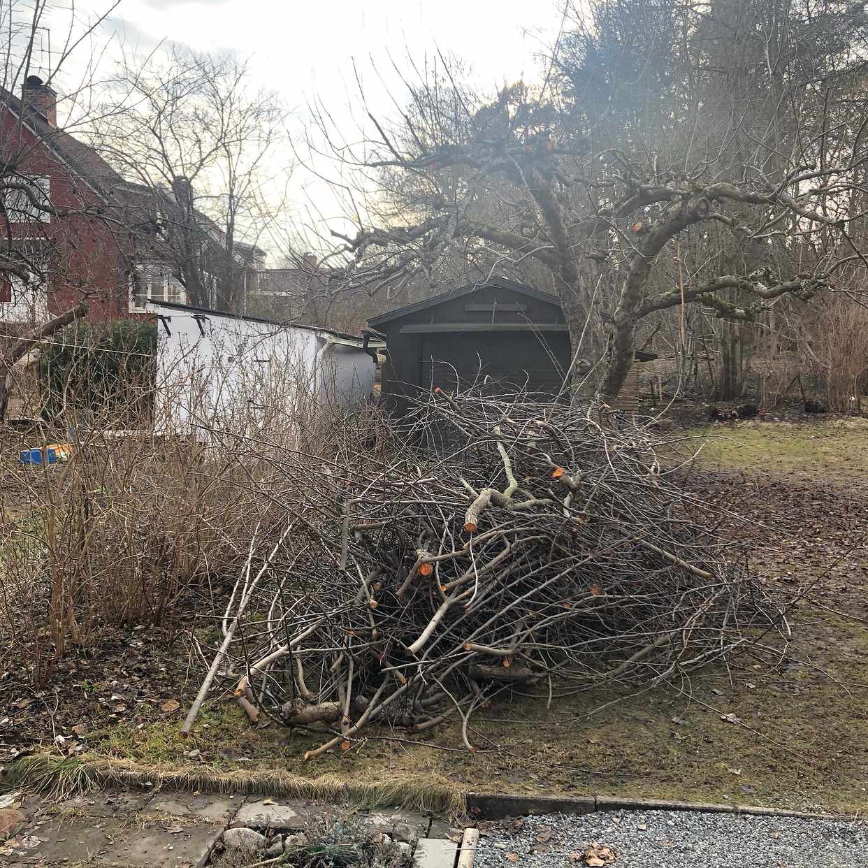 image of Slänga grenar och jacuzzi - Enskede