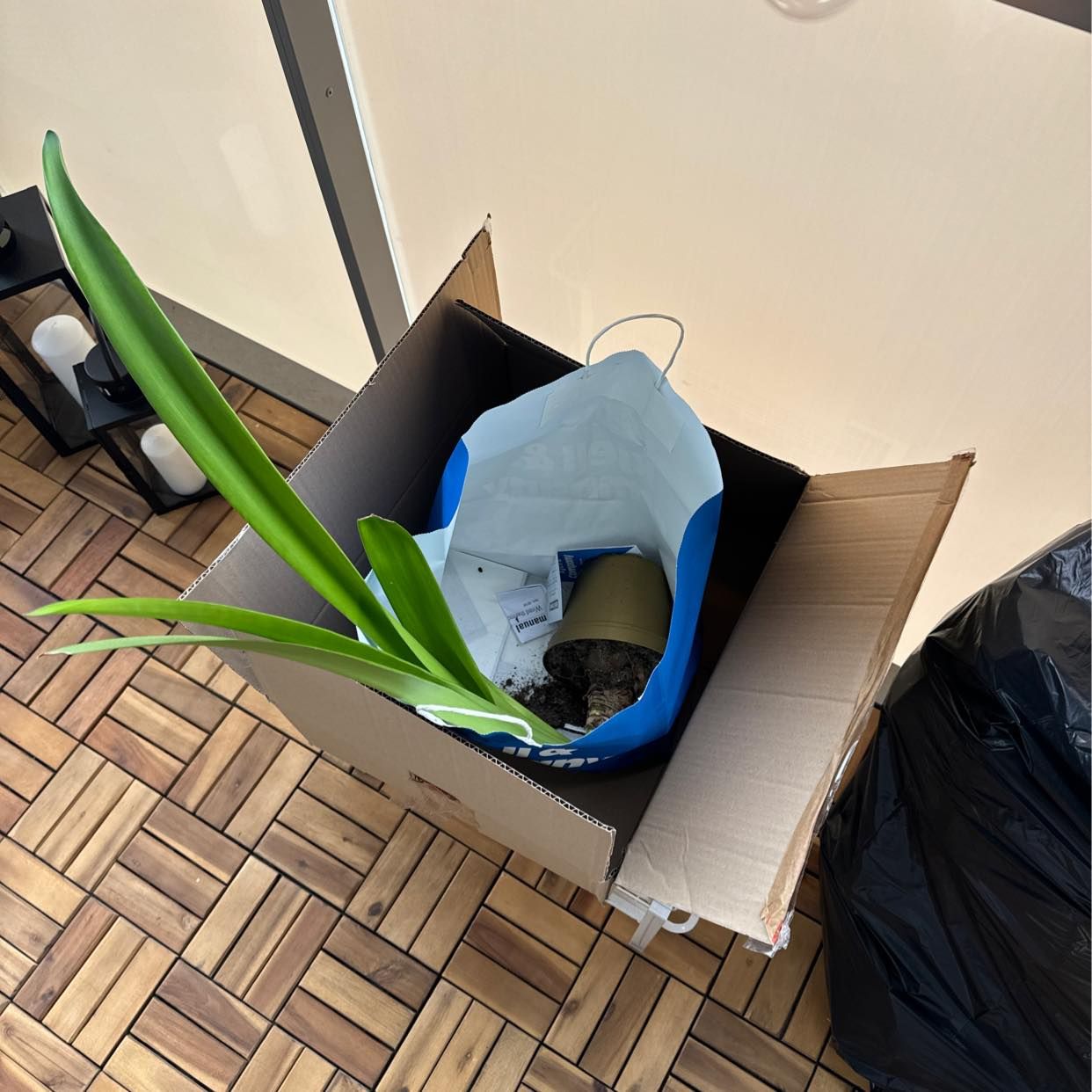 image of Plast, kartong, växt - Solna