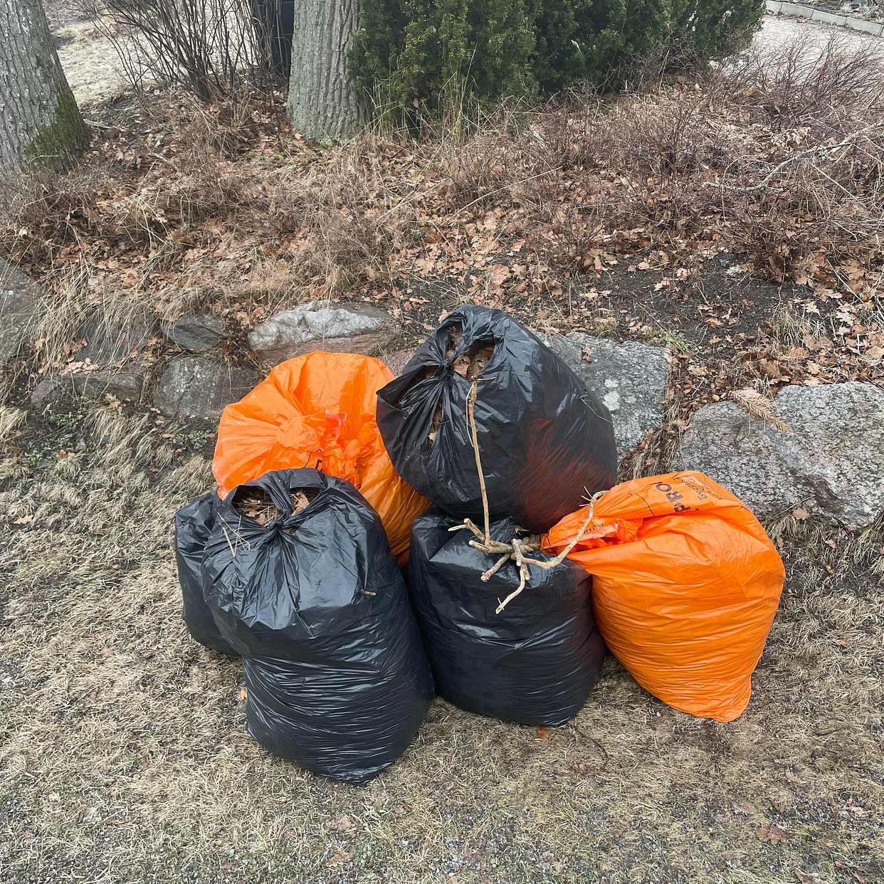 image of Hämta 6påsar med löv - Åkersberga