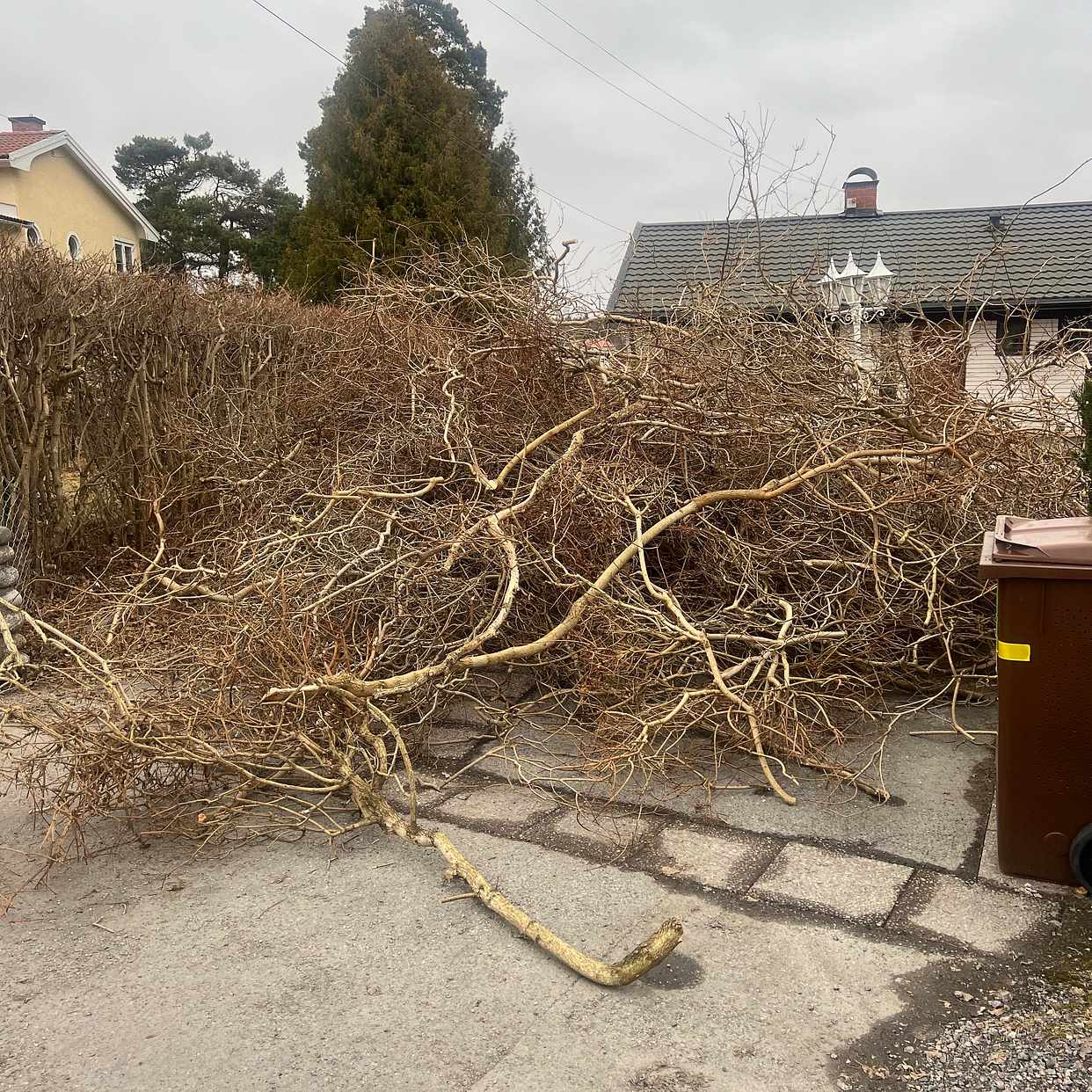 image of Bortkörning av häckklipp - Tyresö