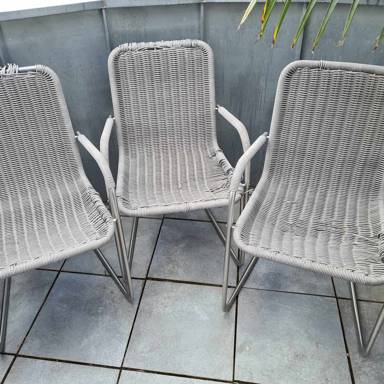 image of 3 Original Tecta Stühle - Berlin