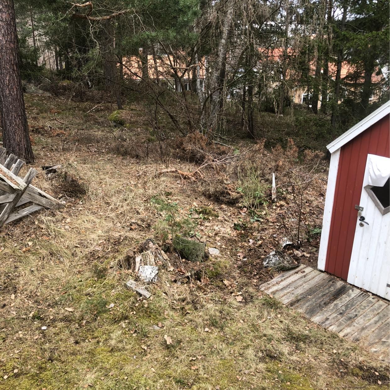 image of Bortforsling grenar o ris - Bromma