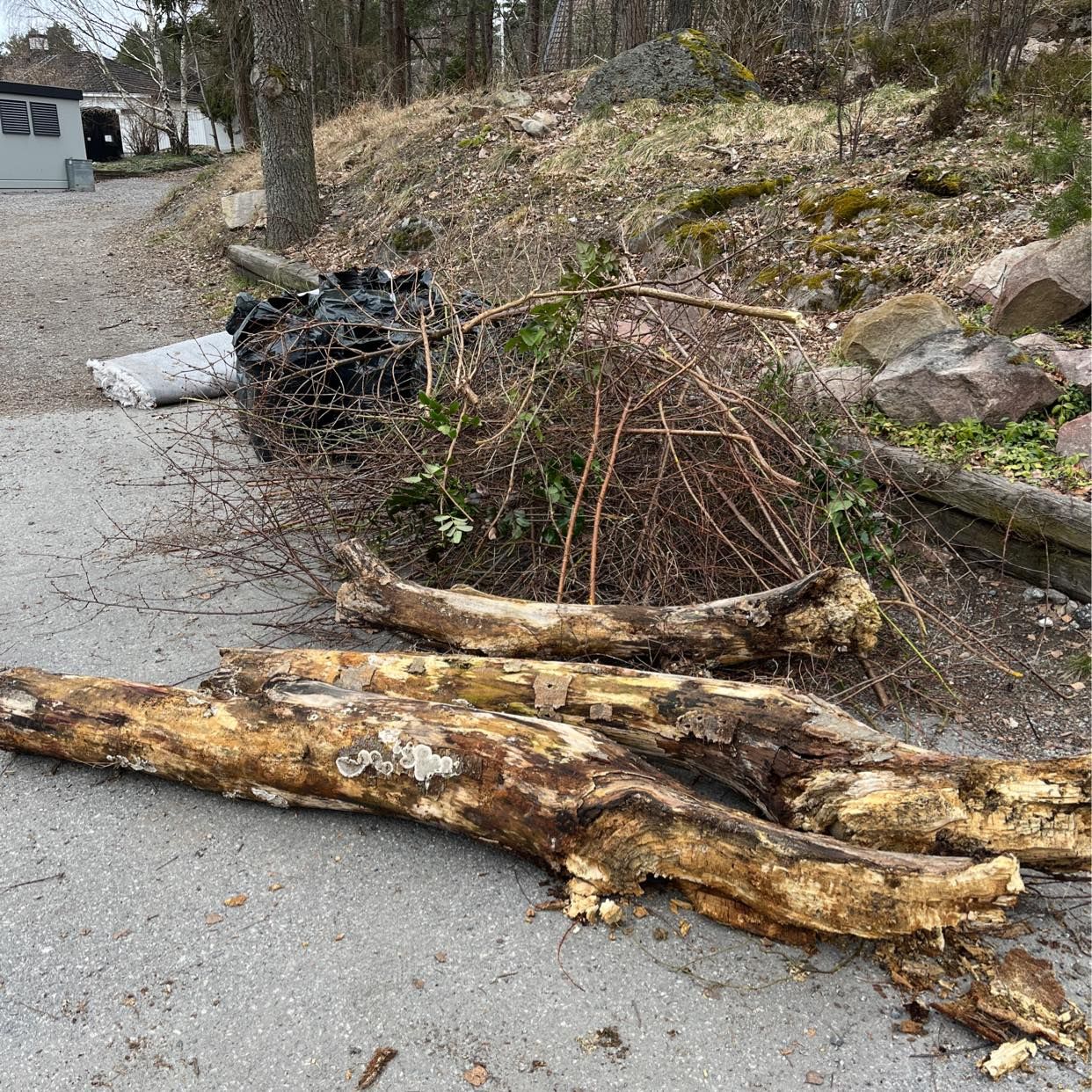 image of Trädgårdsavfall och matta - Sollentuna