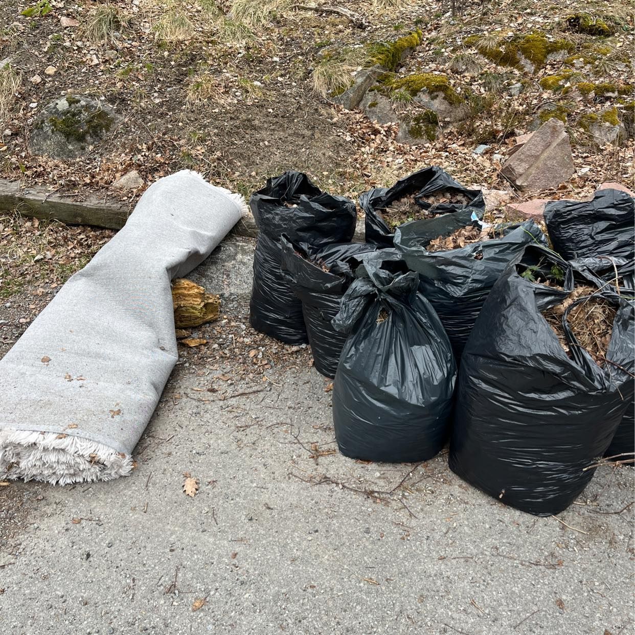 image of Trädgårdsavfall och matta - Sollentuna