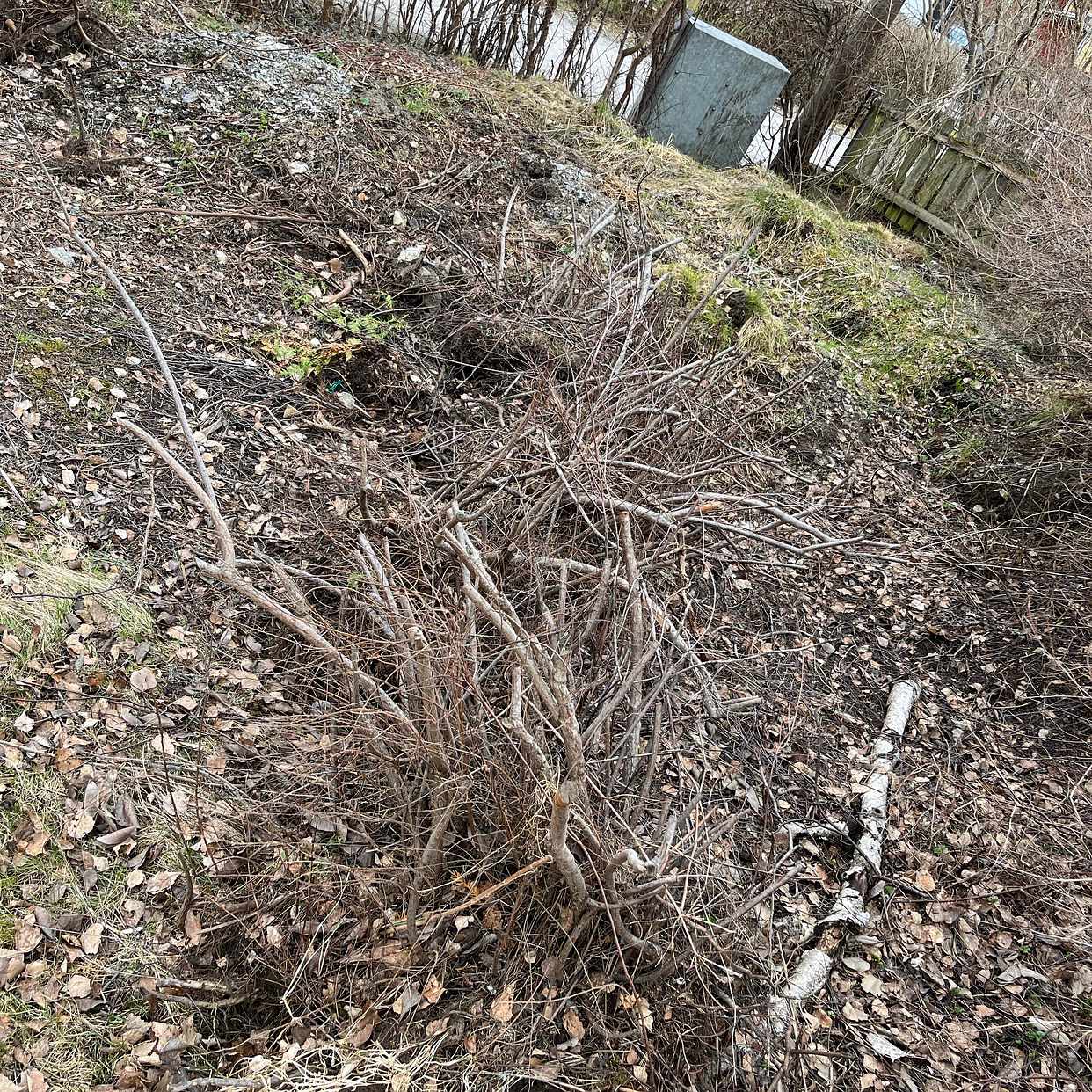 image of Bygg- &  trädgårdssopor - Enskede