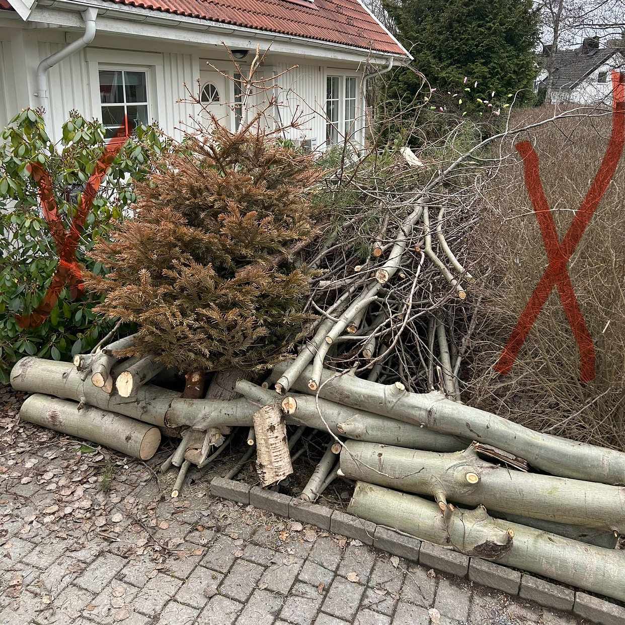 image of Träd till återvinningen - Saltsjö-Boo