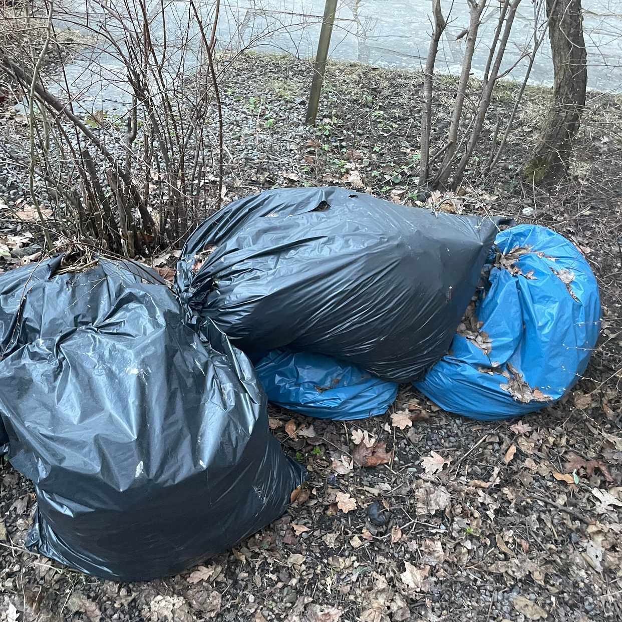 image of Slänga trädgårdsavfall - Bromma