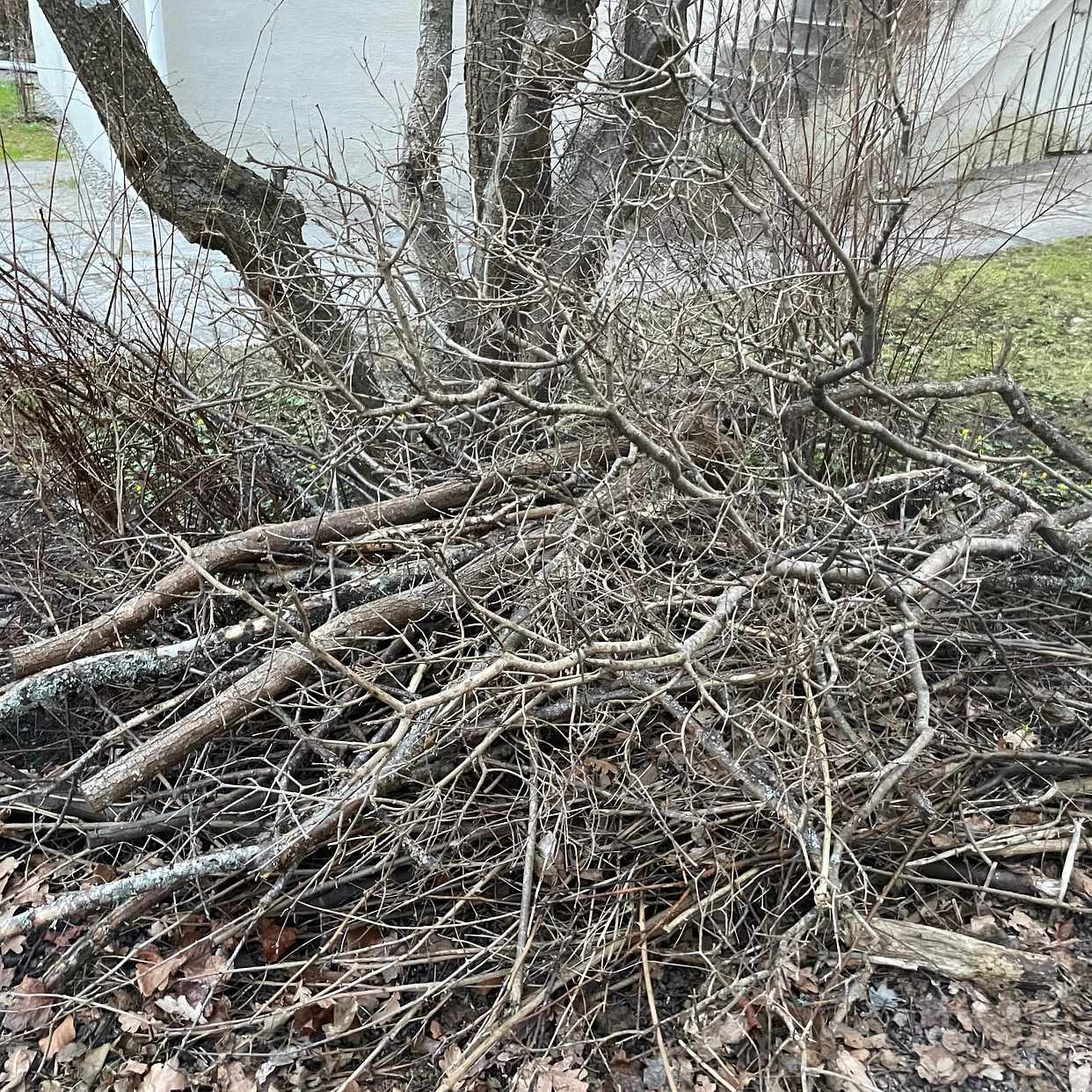 image of Slänga trädgårdsavfall - Bromma