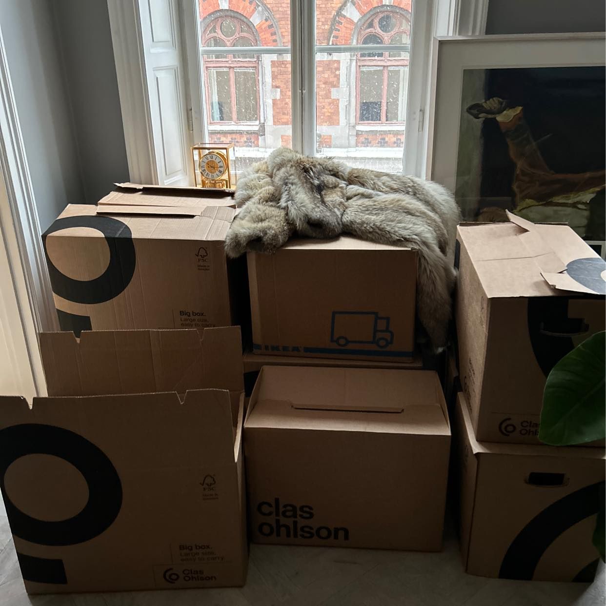 image of 12 boxes + small extra - 