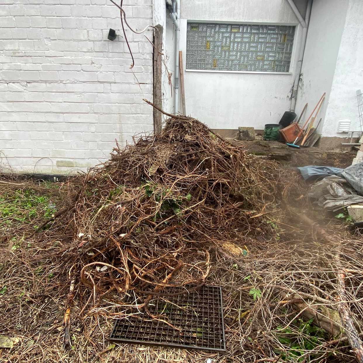 image of Garten abfall - Berlin