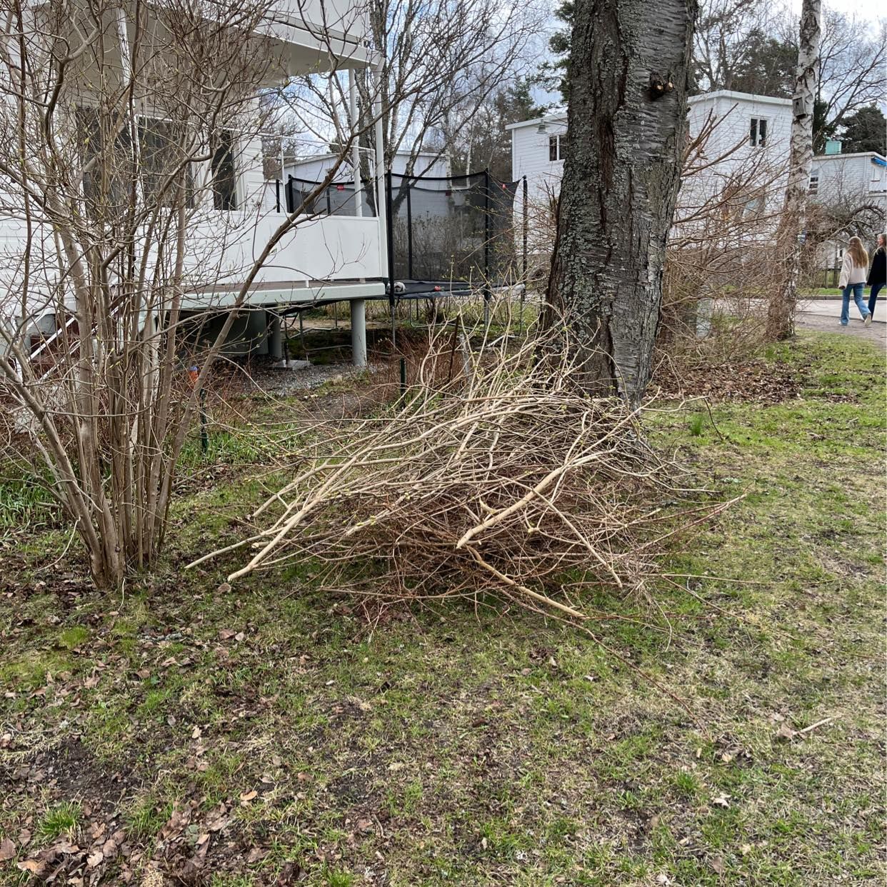 image of Pile of branches - Bromma