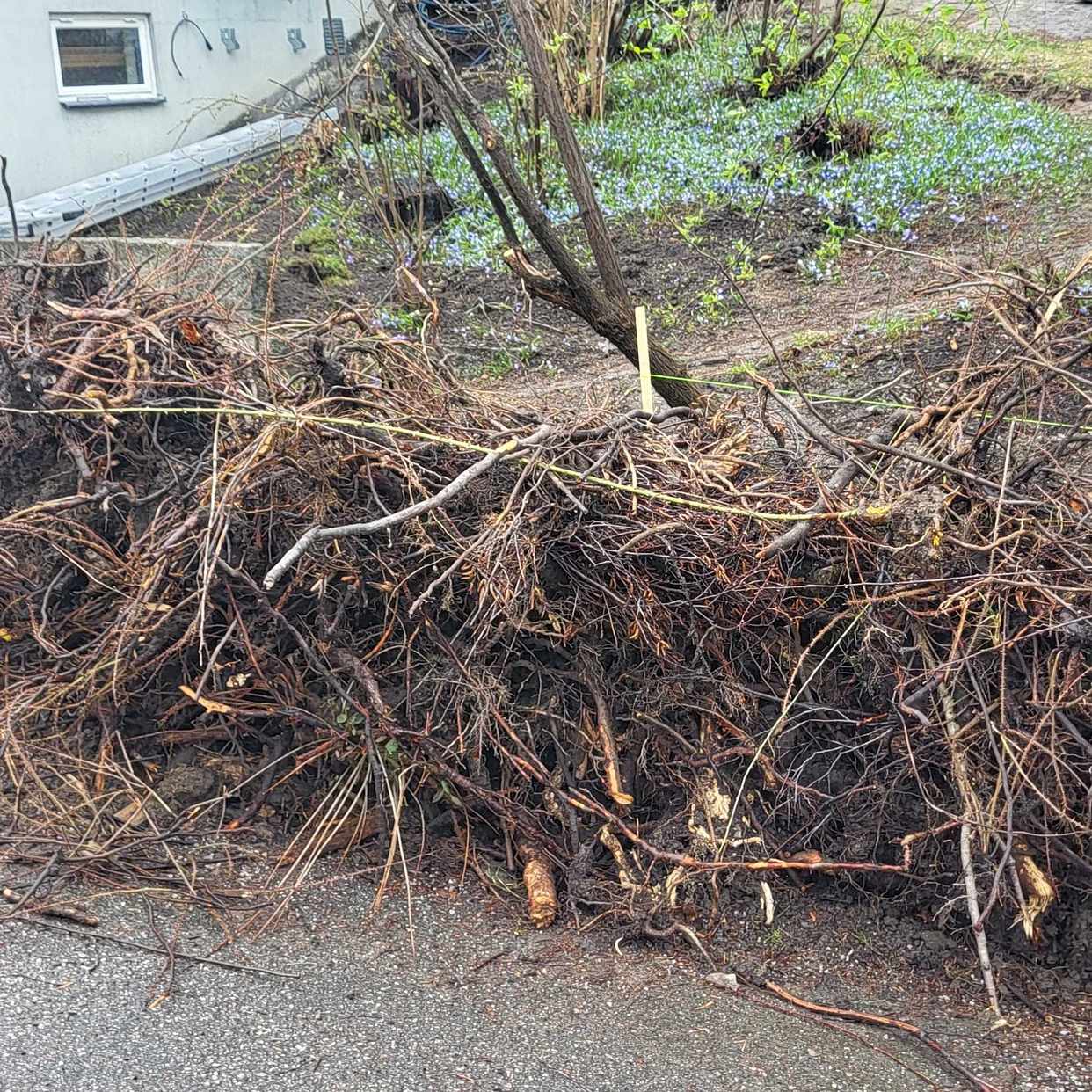 image of Slänga trädgårdsavfall - Täby