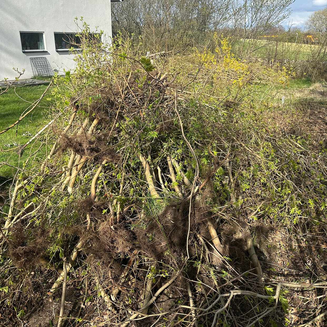 image of Trädgårdsavfall - Väsby
