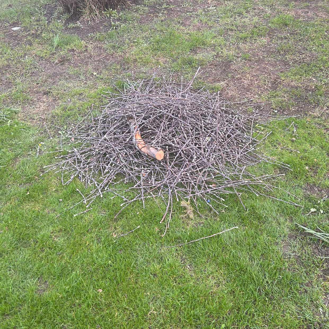 image of Hämta trädgårdsavfall - Lidingö