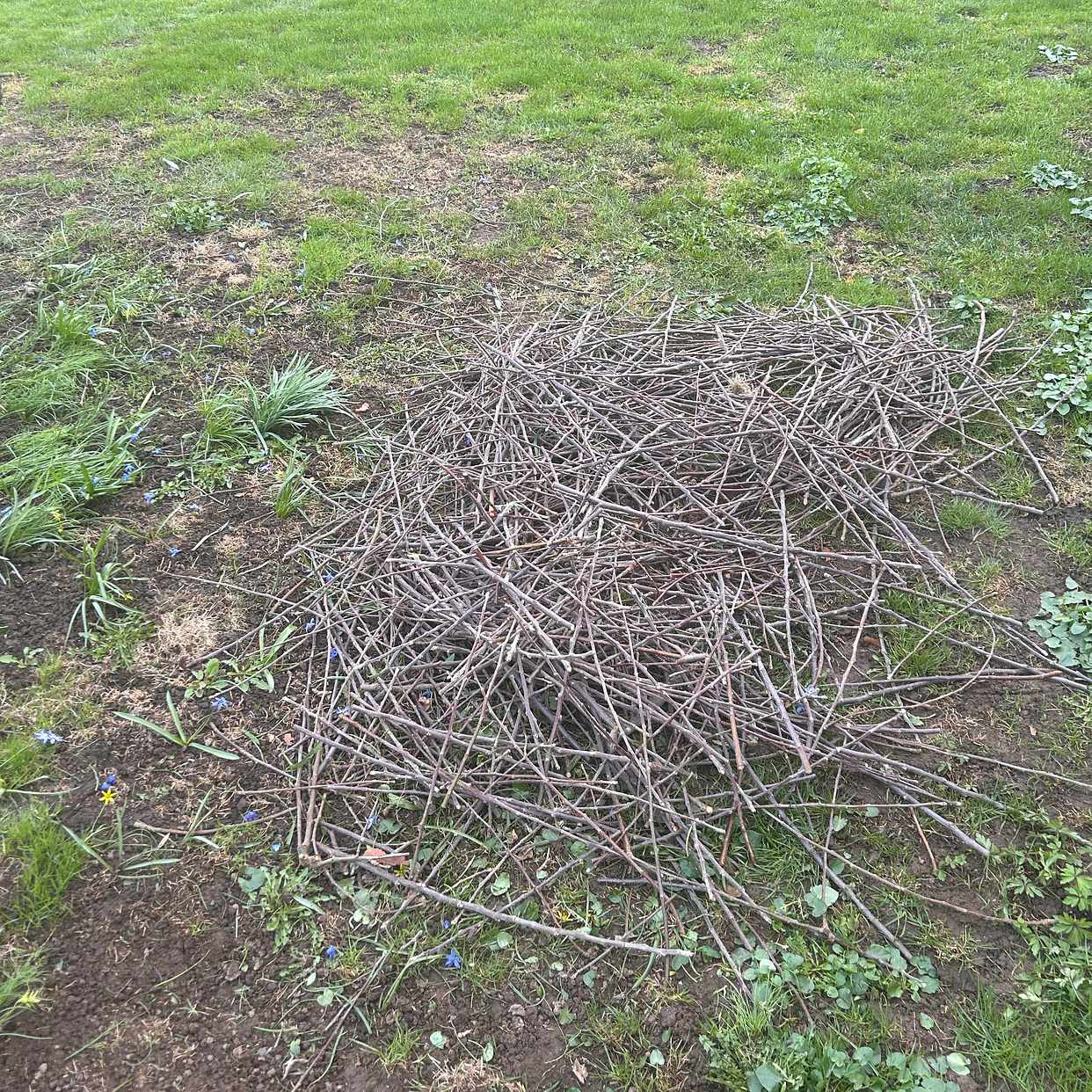 image of Hämta trädgårdsavfall - Lidingö