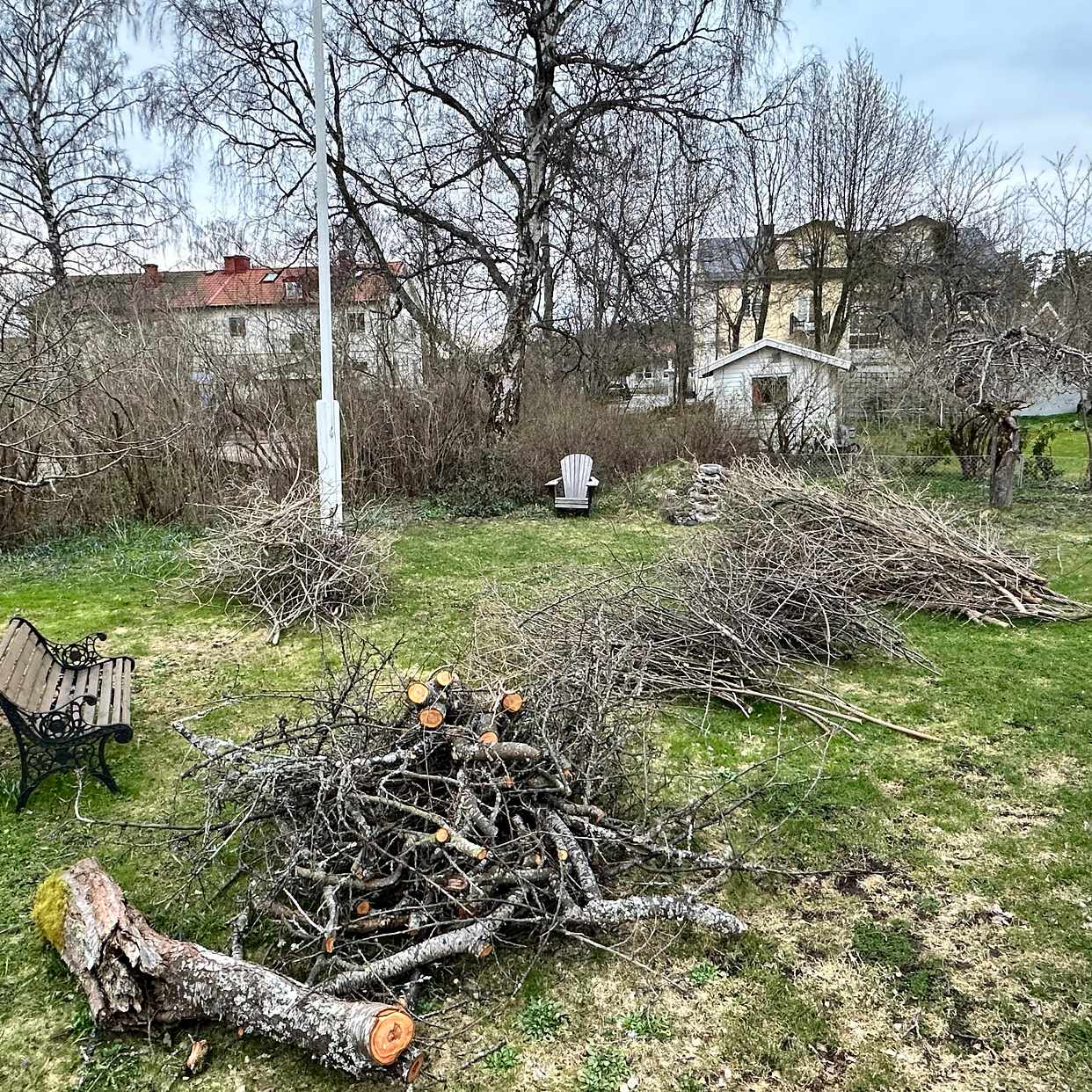 image of Grenar från häck - Skarpnäck