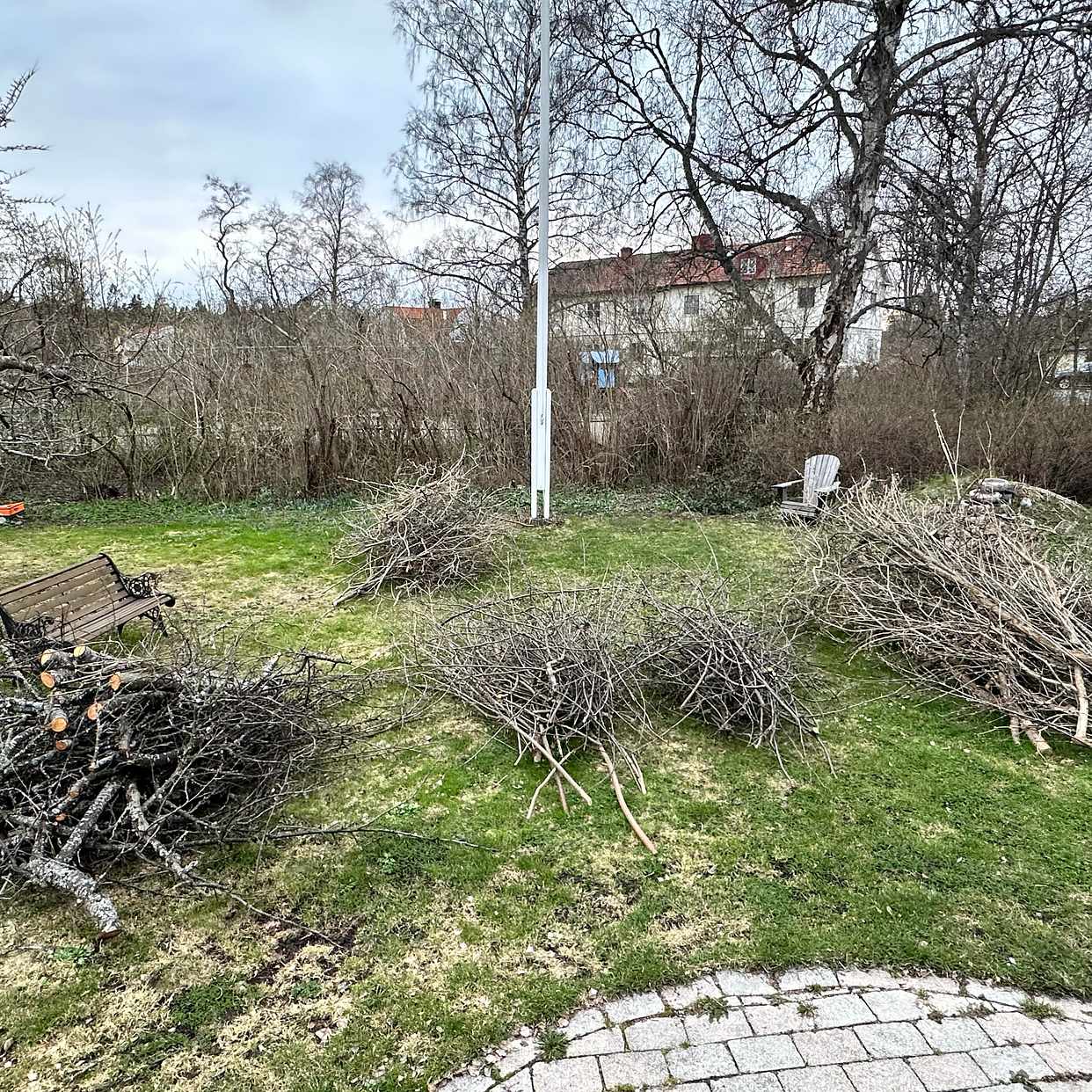 image of Grenar från häck - Skarpnäck