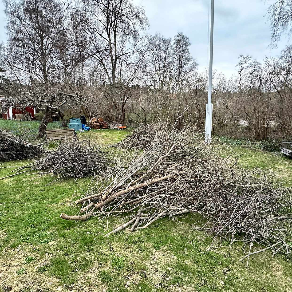 image of Grenar från häck - Skarpnäck