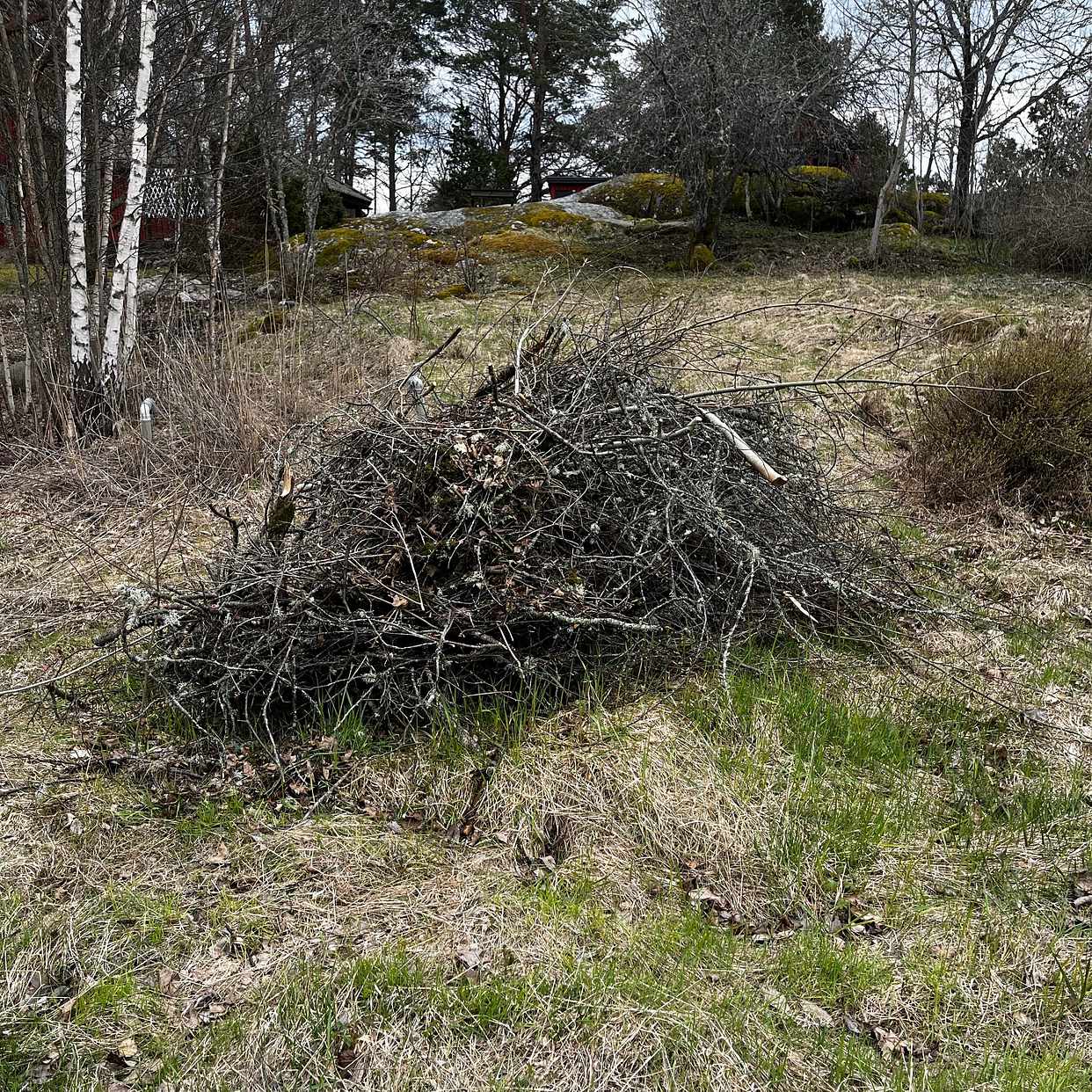 image of Bortforsling av ris - Häverö