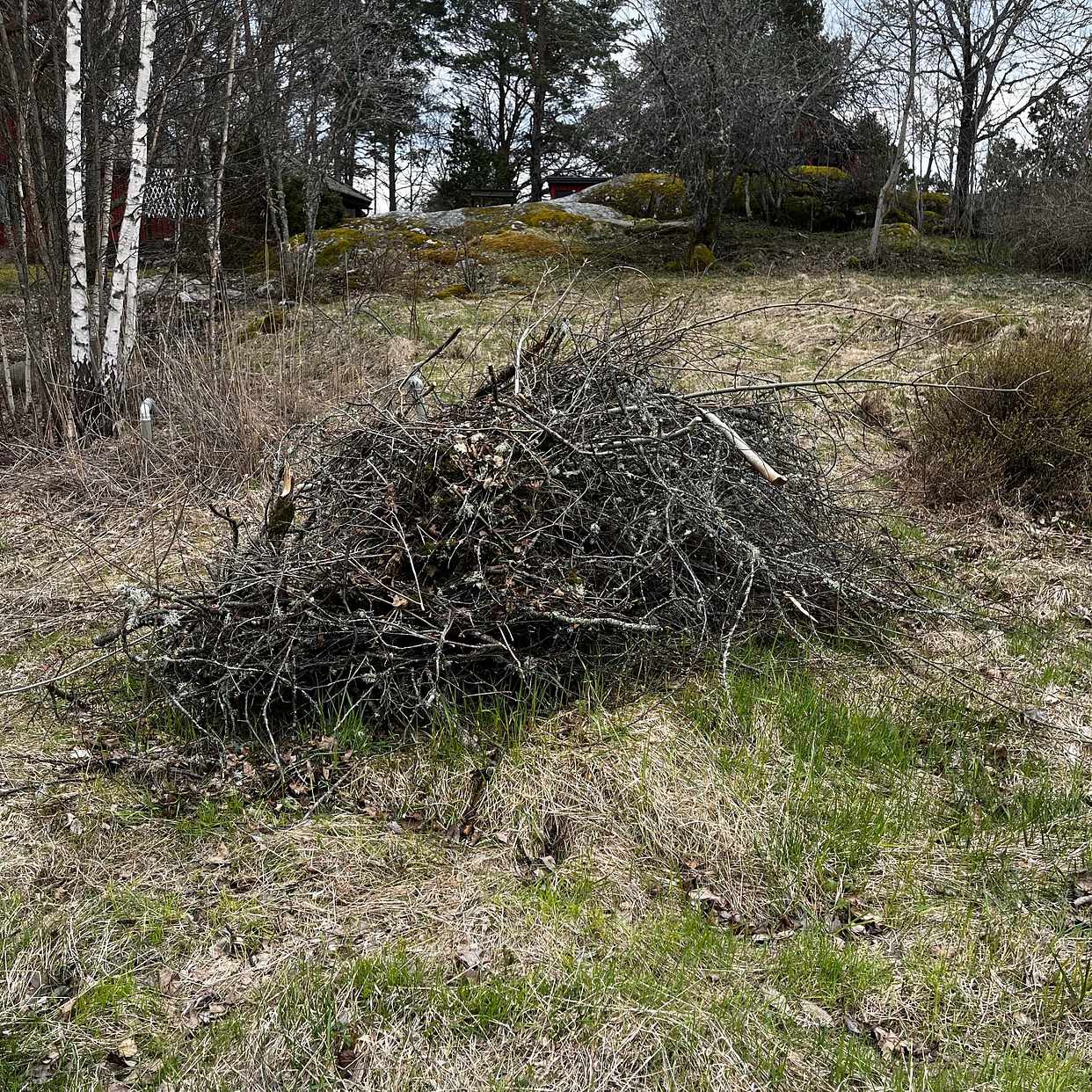 image of Bortforsling av ris - Häverö