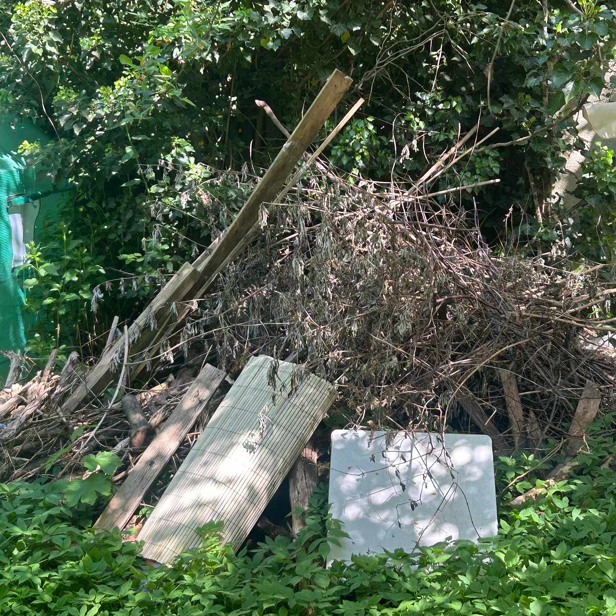 image of Garden waste / furniture - Neukölln