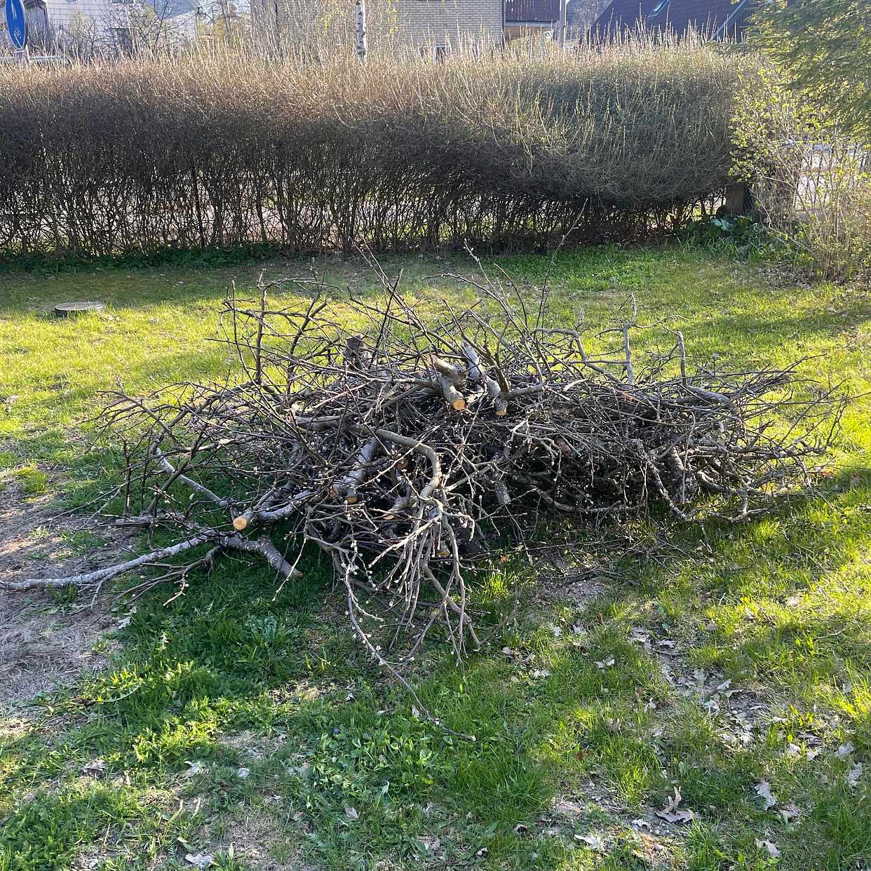 image of Kartonger och trädavfall - Enskede