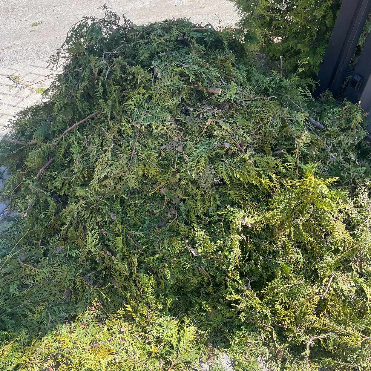 image of Hämta upp en hög - Sollentuna