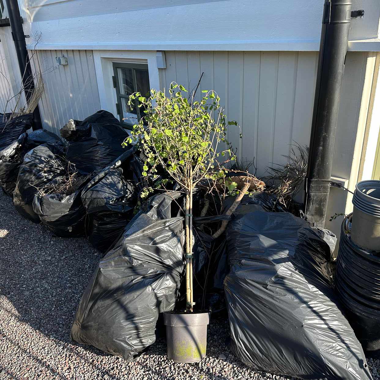 image of 13 säckar och lite krukor - Saltsjöbaden