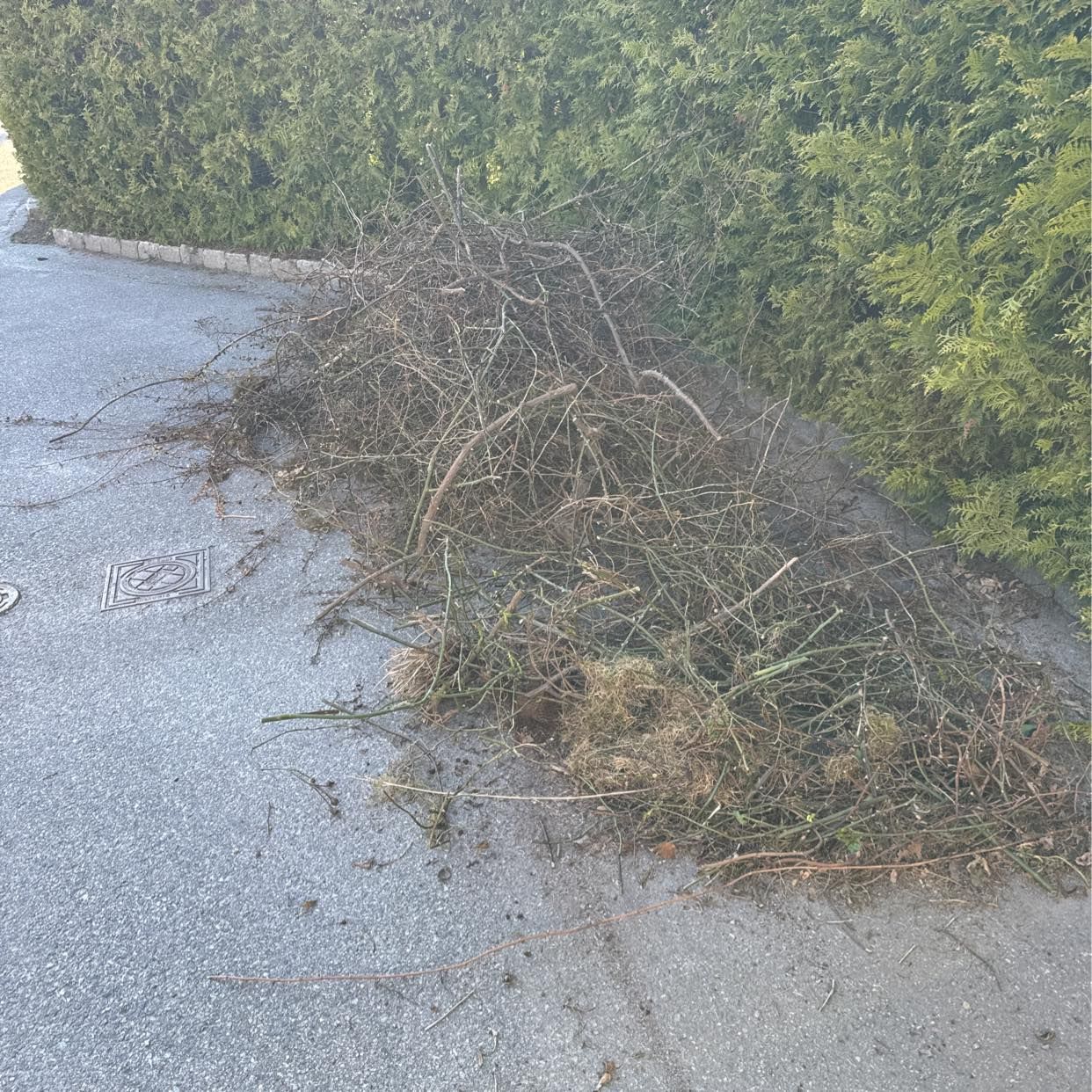image of Garden waste - Boo