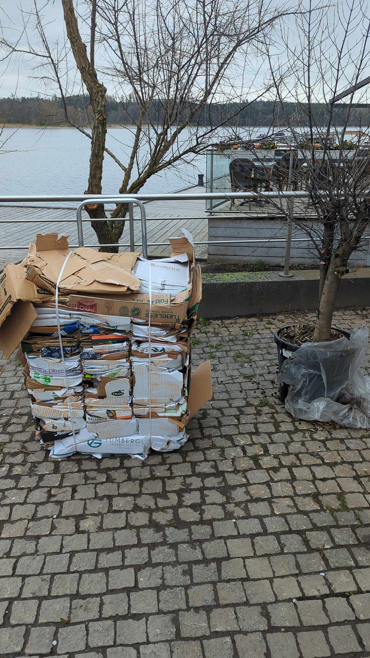 image of 1 bal wellpapp 1 olivträd - Täby