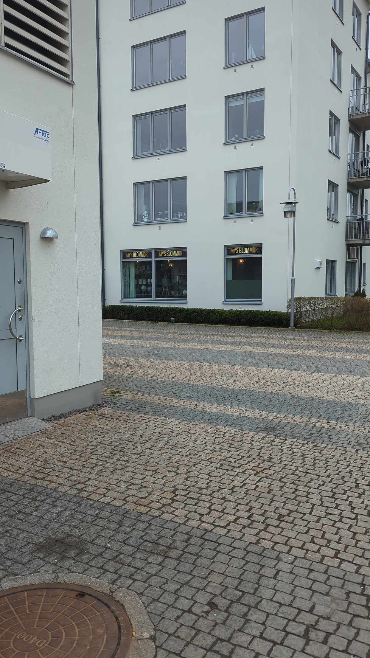 image of 1 bal wellpapp 1 olivträd - Täby