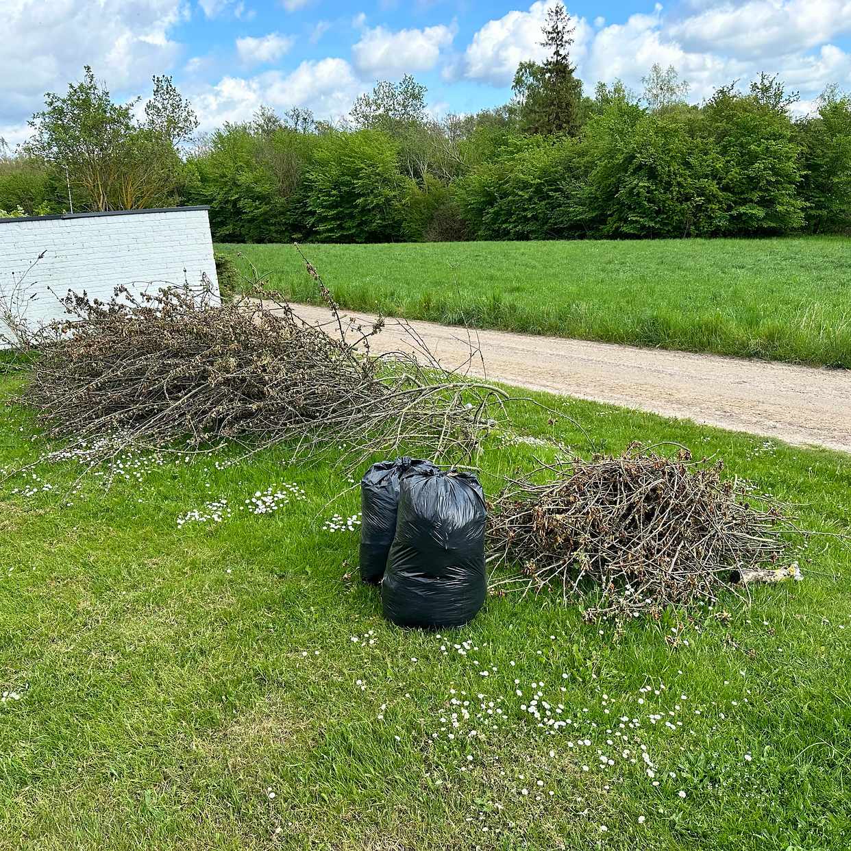 image of Hämta för återvinning - Lund