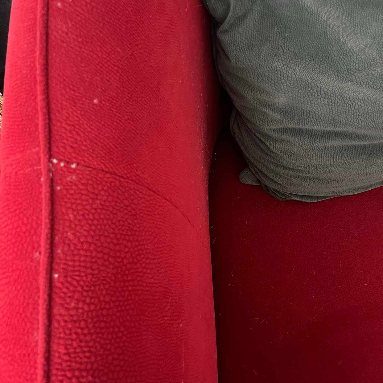 image of Couch zu verschenken - Hamburg-Mitte