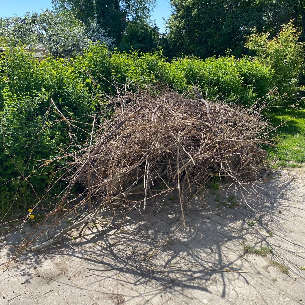 image of Köra kvistar och rötter - Täby