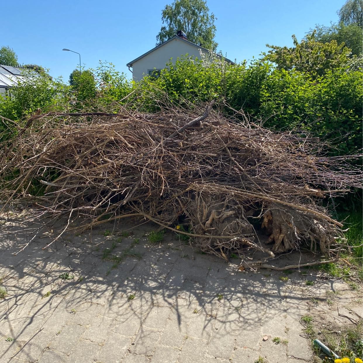 image of Köra kvistar och rötter - Täby