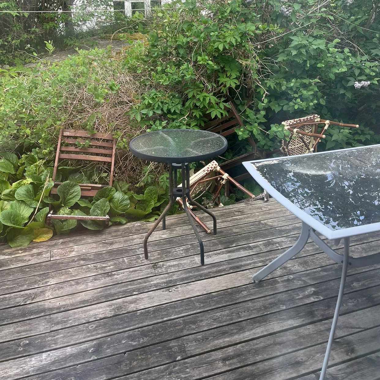 image of Liten gräsmatta klippt? - Bohus-Björkö