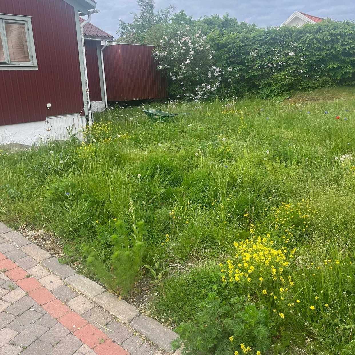 image of Liten gräsmatta klippt? - Bohus-Björkö