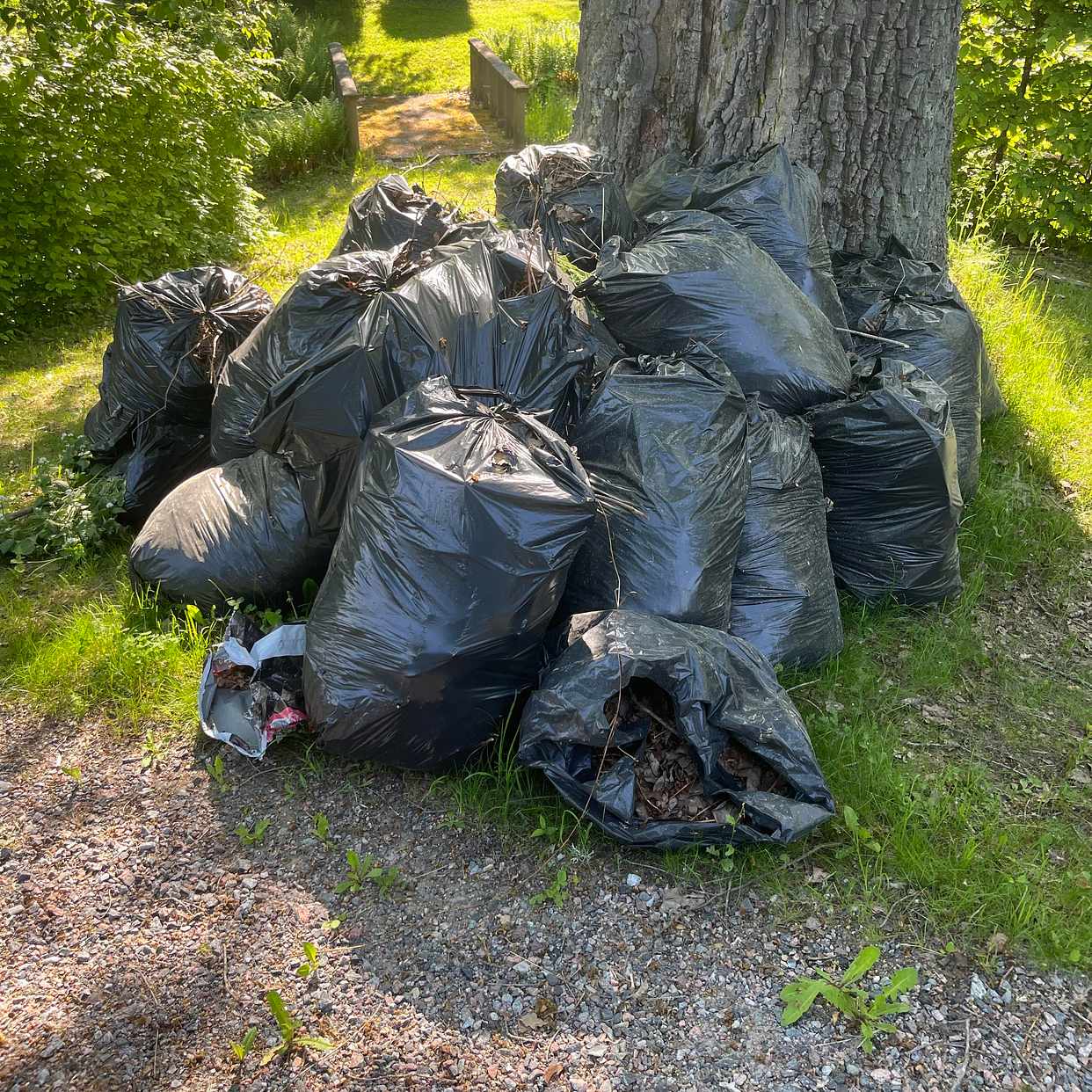 image of Hämta trädgårdssäckar - Saltsjö-Duvnäs