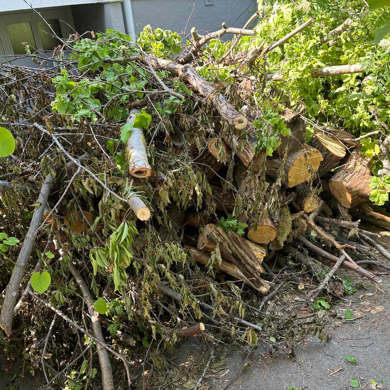image of Garden waste - Stocksund