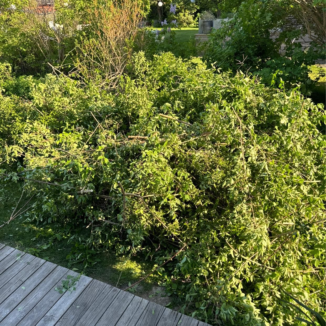 image of Garden waste - Enskede